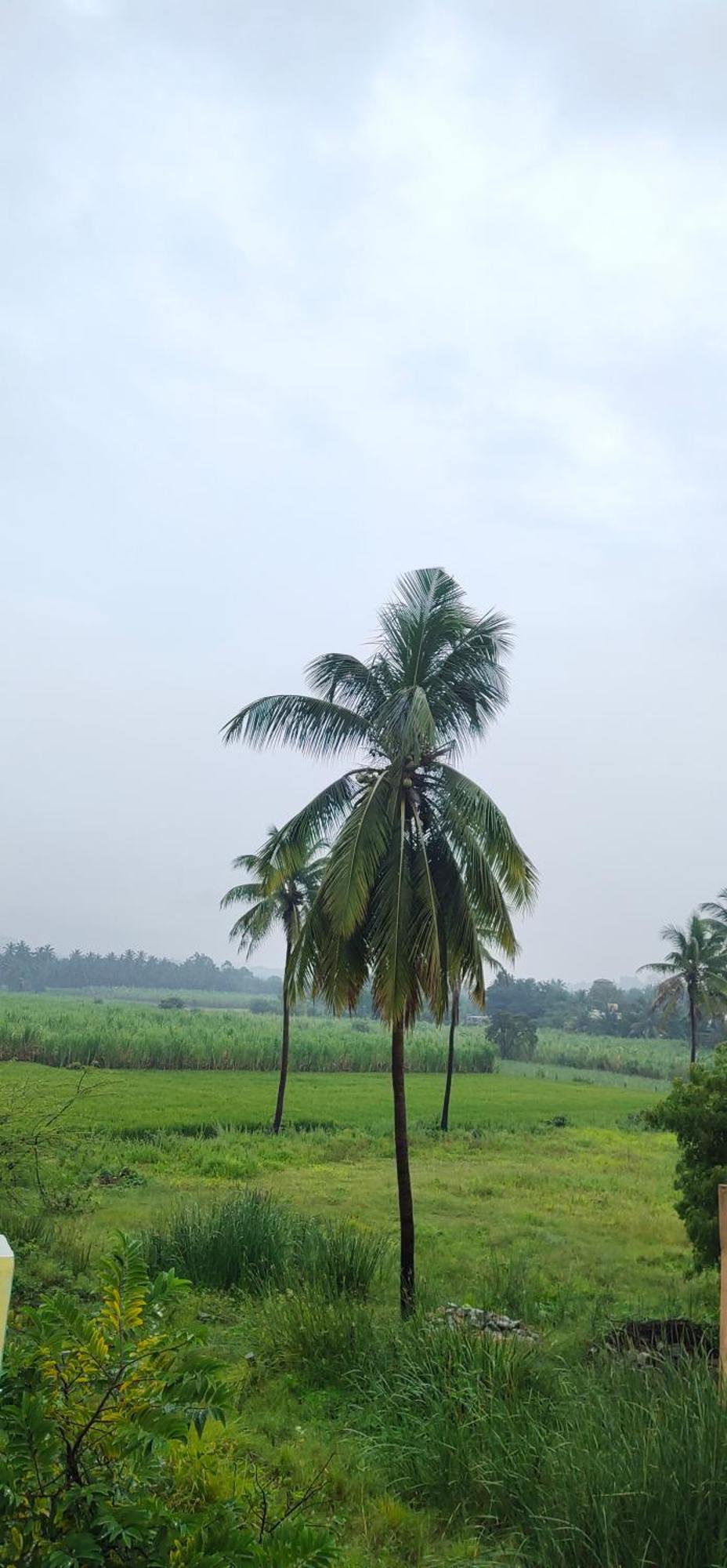 Raj Homestay Hampi Exterior photo